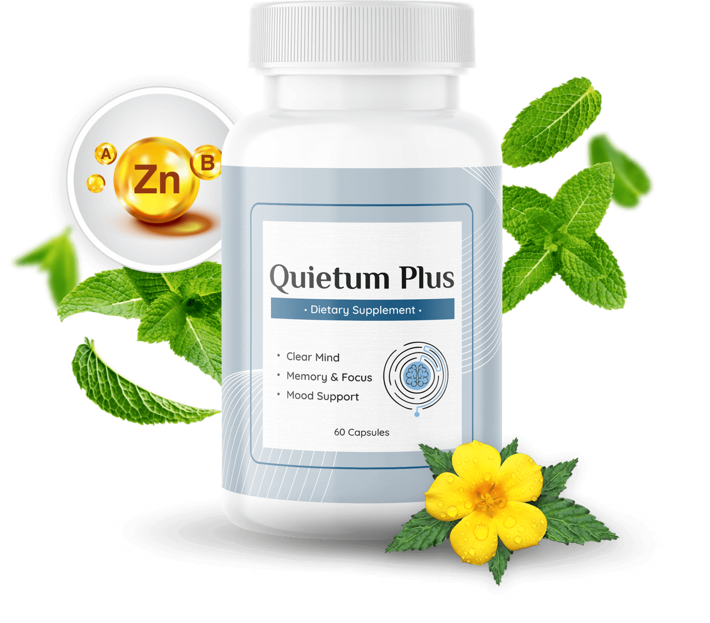 Quietum Plus single bottles with ingredients
